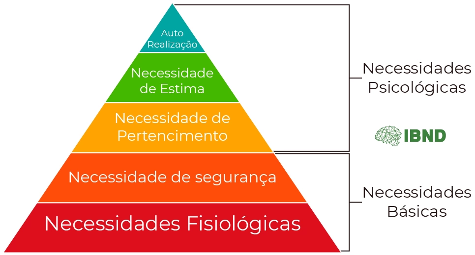 O Que é A Pirâmide De Maslow Blog Ibnd